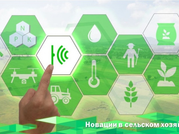 Новации в животноводстве в 2025 году