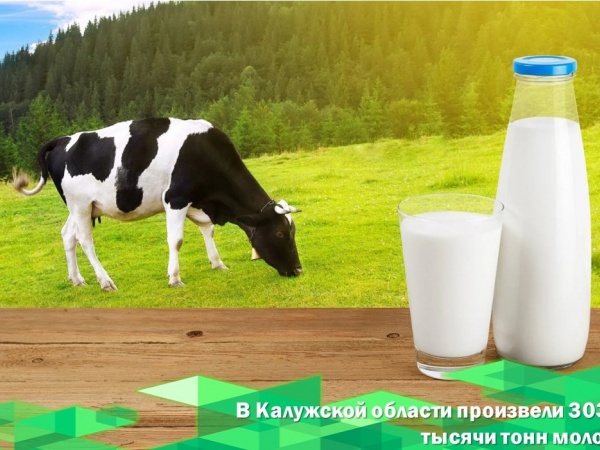 Калужской области произвели 303,2 тысячи тонн молока