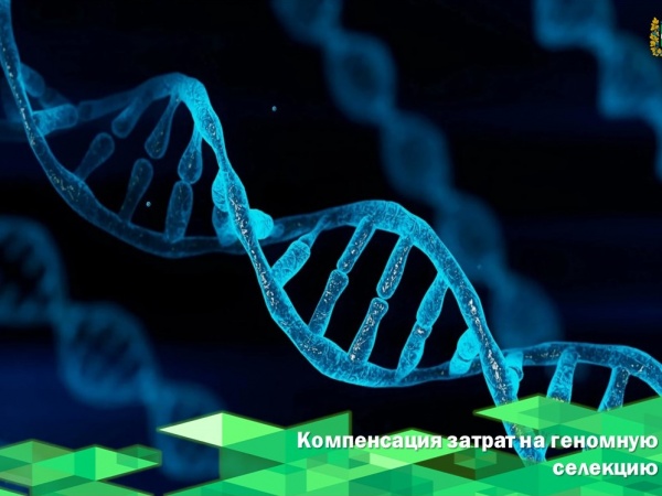 Компенсация затрат на геномную селекцию