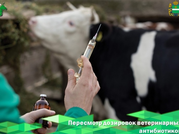 Пересмотр дозировок ветеринарных антибиотиков в ЕС