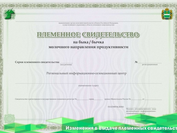 Племенные свидетельства и разрешения на импорт будут выдавать через единое окно с марта 2026 год