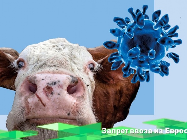 Россельхознадзор запретил ввоз продукции животноводства из Евросоюза