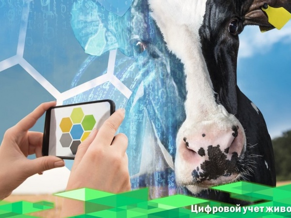 Россия идет по пути полного цифрового учета животных