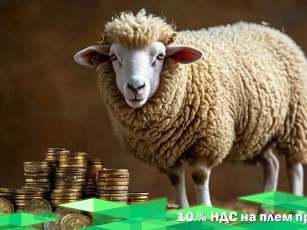 С 2025 года отменяется льгота НДС по племенным животным