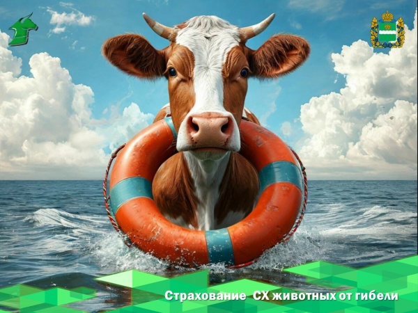Сельхозживотных разрешат страховать от гибели при паводке и половодье.