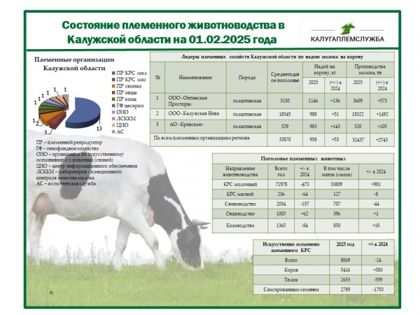 Состояние племенного животноводства на 01.02.2025