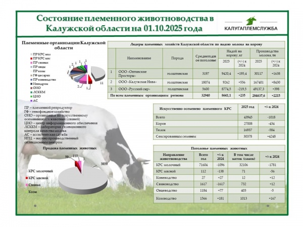 Состояние племенного животноводства на 01.10.2025