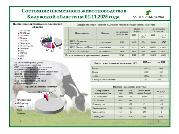 Состояние племенного животноводства на 01.11.2025