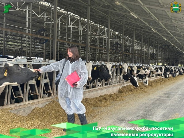 Специалисты ГБУ «Калугаплемслужба» посетили племенные репродукторы