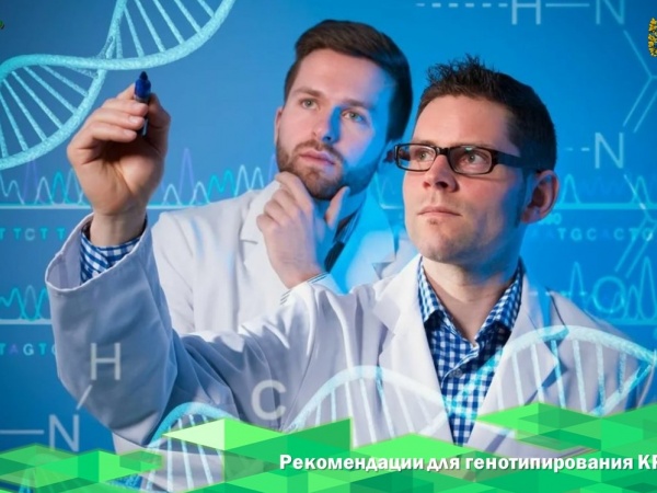 Ученые ВНИИЗЖ разрабатывают рекомендации для генотипирования крупного рогатого скота.