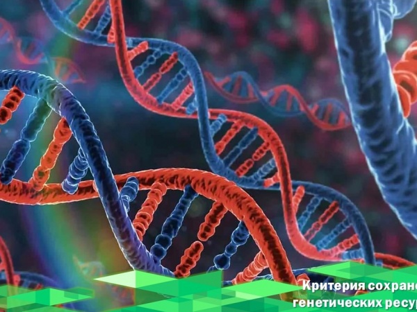 Утверждение критериев сохранения генетических ресурсов