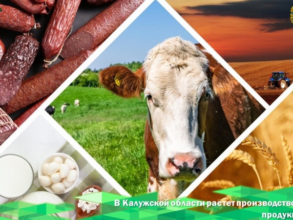 В Калужской области растет производство сельхозпродукции