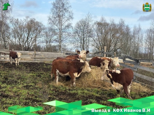 Выезд в КФХ Иванов В.И