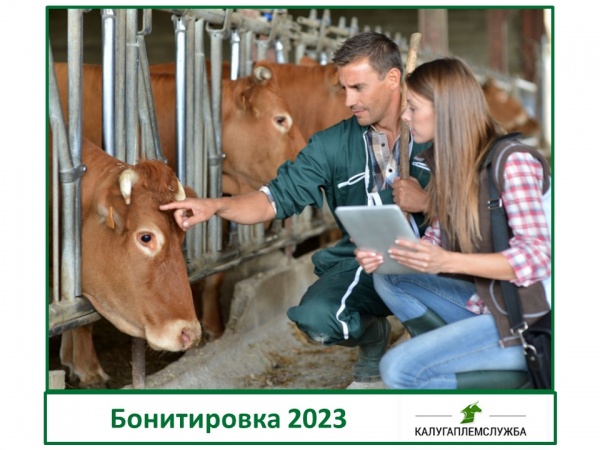 Бонитировка 2023