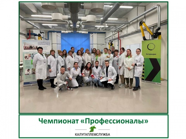 Чемпионат «Профессионалы»