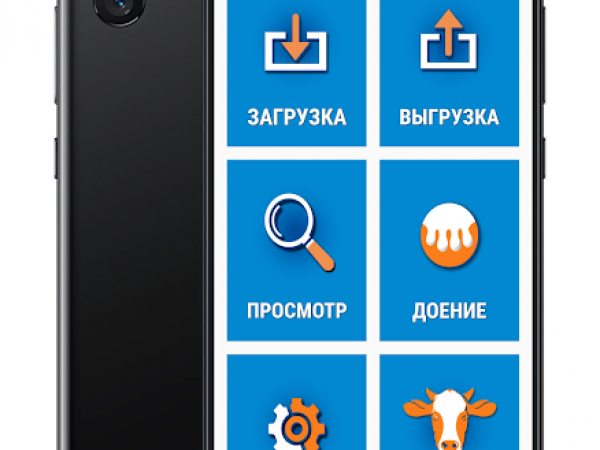 Цифровизация контрольных доек!