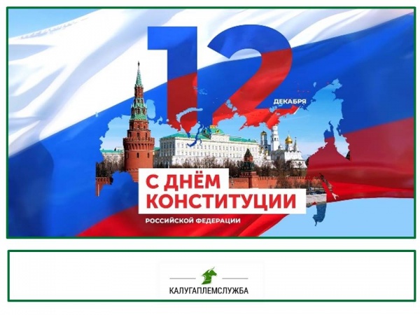 День Конституции Российской Федерации