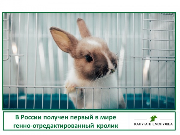 Достижения наших ученых