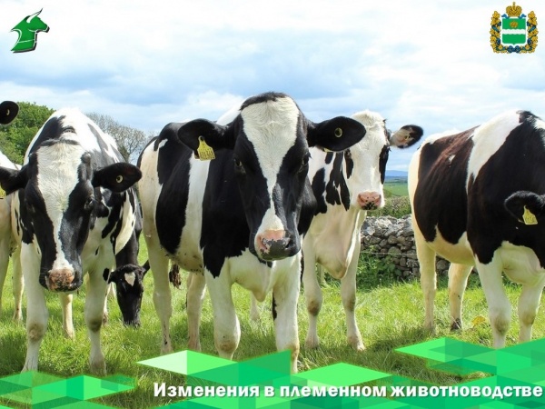 Изменения в племенном животноводстве