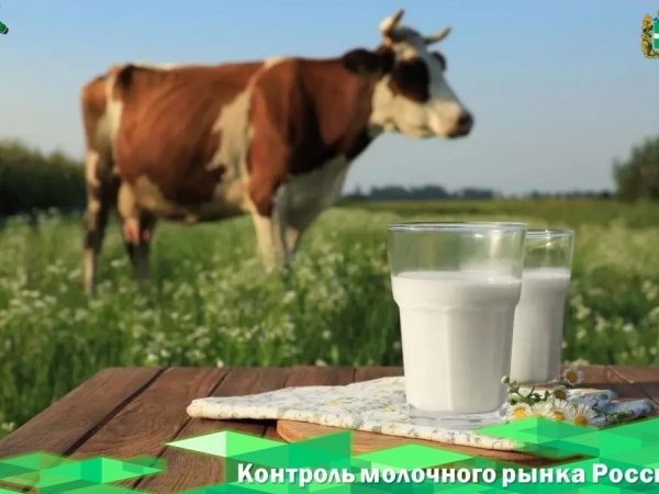 Контроль молочного рынка России: каждая корова должна быть на счету.