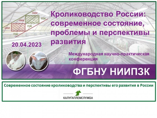 Кролиководство России: современное состояние, проблемы и перспективы развития