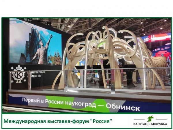 Международная выставка-форум "Россия"