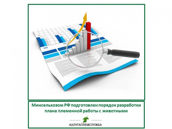 План племенной работы с животными