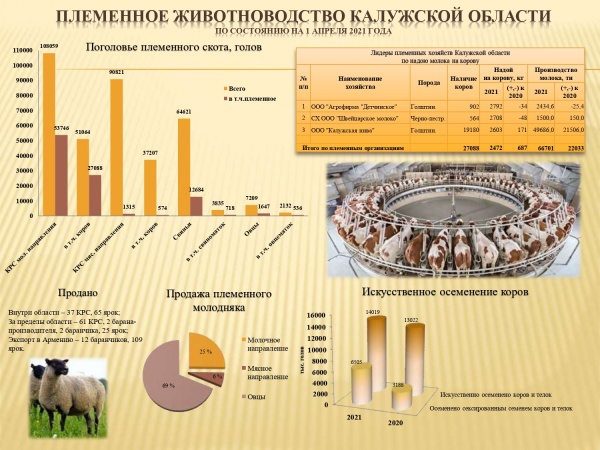 Племенное Животноводство