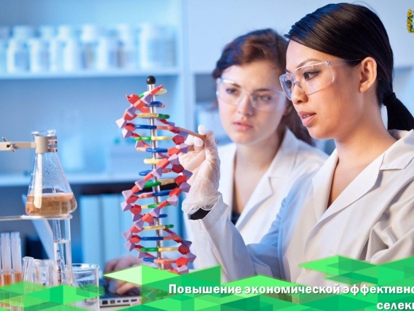 Повышение экономической эффективности селекции.