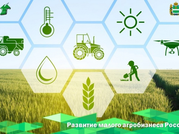 «Развитие малого агробизнеса России»