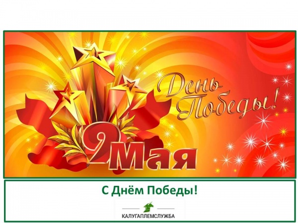 С Днем Победы, дорогие коллеги!