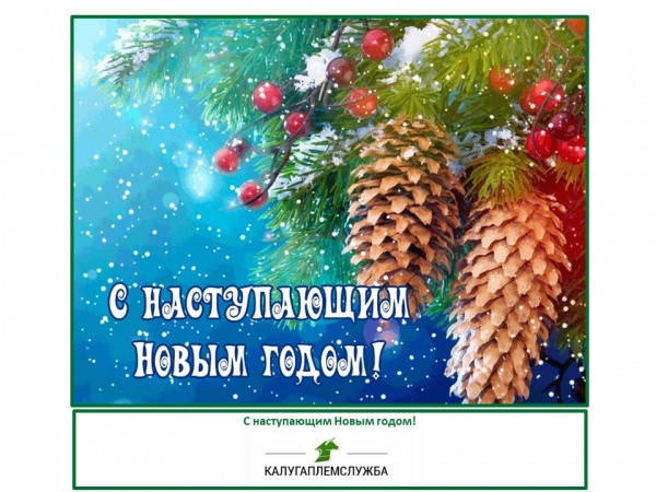 С наступающим Новым годом!
