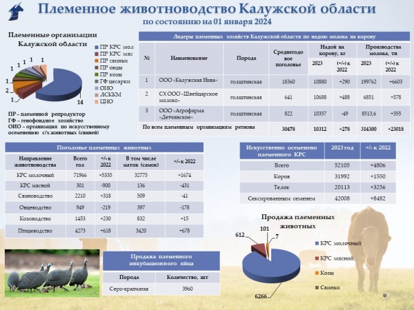 Состояние племенного животноводства на 01.01.2024 года
