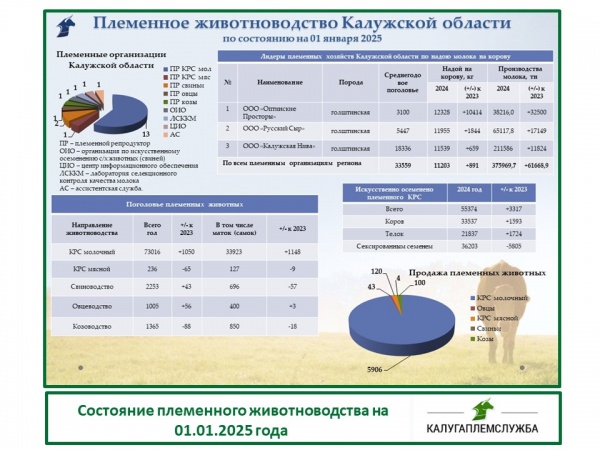 Состояние племенного животноводства на 01.01.2025