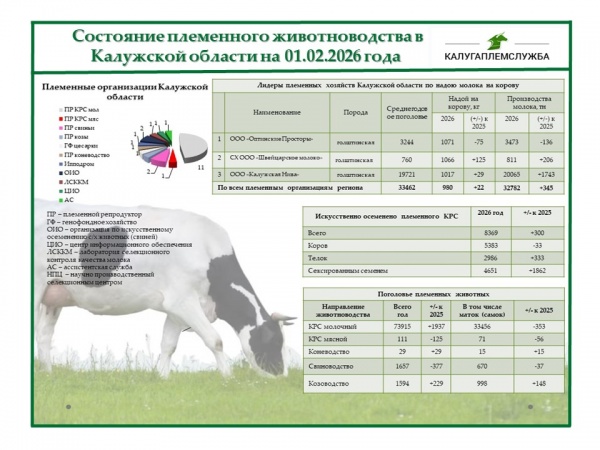 Состояние племенного животноводства на 01.02.2026