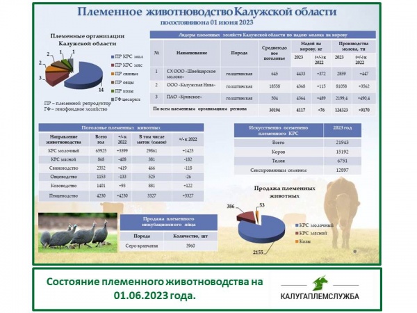 Состояние племенного животноводства на 01.06.2023 года.