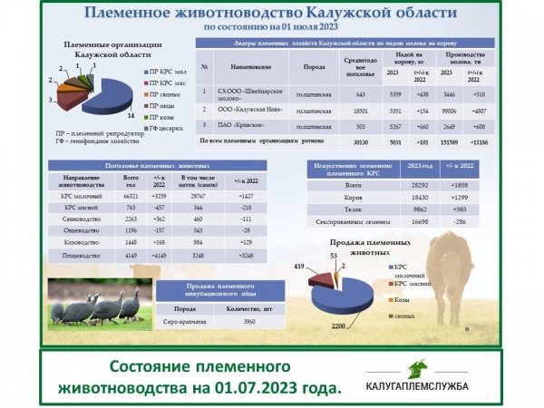 Состояние племенного животноводства на 01.07.2023 года.