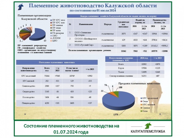 Состояние племенного животноводства на 01.07.2024