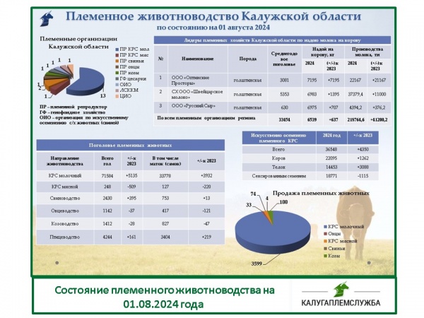 Состояние племенного животноводства на 01.08.2024