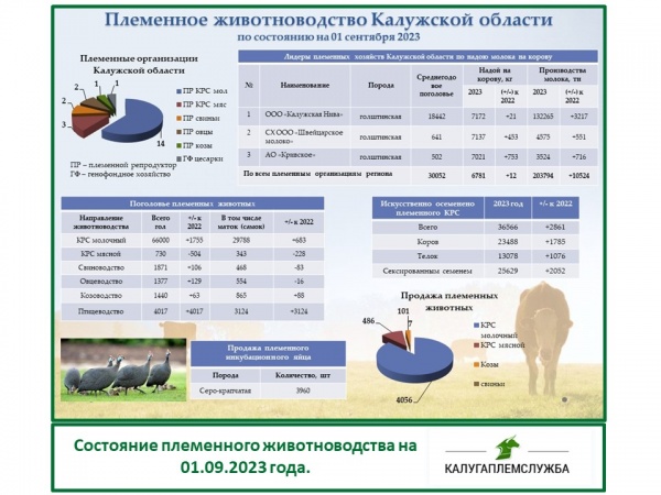 Состояние племенного животноводства на 01.09.2023 года