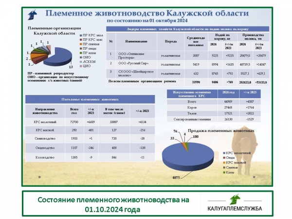 Состояние племенного животноводства на 01.10.2024