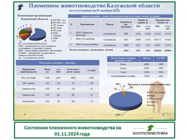 Состояние племенного животноводства на 01.11.2024