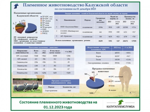 Состояние племенного животноводства на 01.12.2023 года