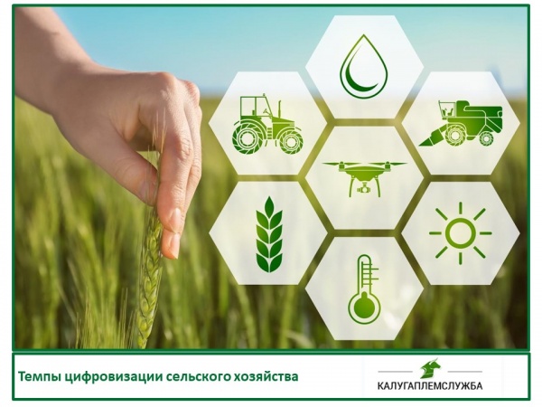 Темпы цифровизации сельского хозяйства