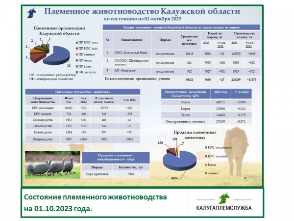 Состояние племенного животноводства на 01.10.2023 года