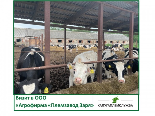 Визит в ООО "Агрофирма "Племзавод Заря"