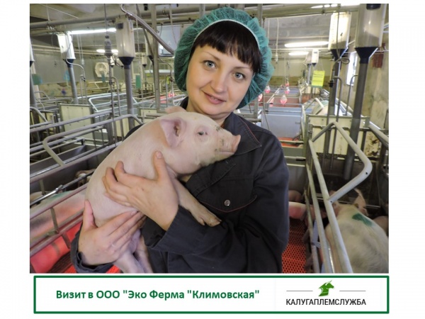 Визит в ООО "Эко Ферма "Климовская"