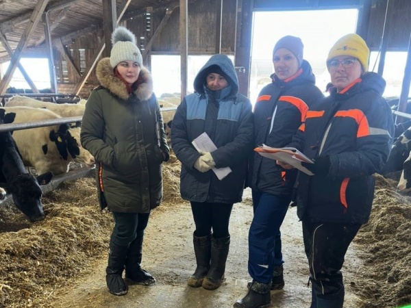 Выезд в ООО «Швейцарское молоко»